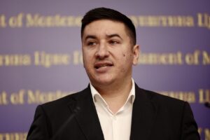 Дајковић: Док су нас плашили српским и руским свијетом, турски нас је окупирао